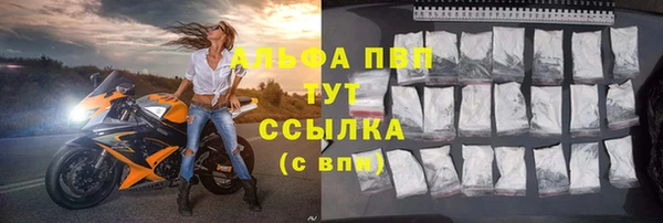 стаф Туринск