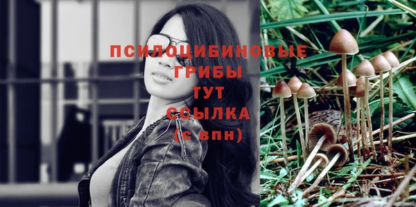 дурь Тутаев
