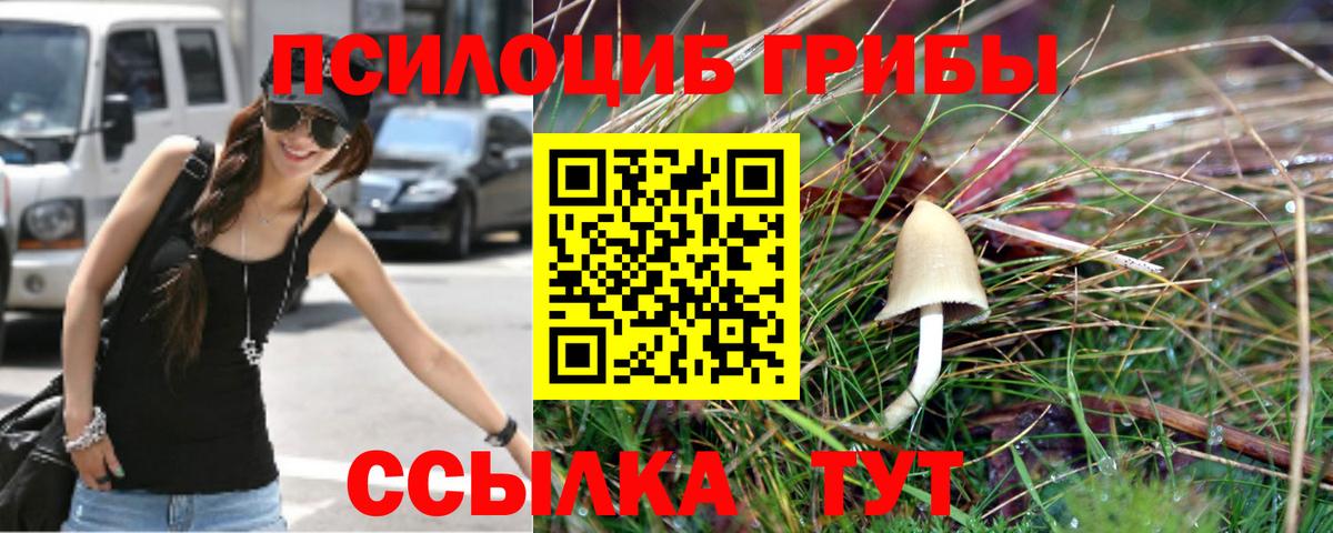 Галлюциногенные грибы мухоморы  Вход с VPN  Екатеринбург 